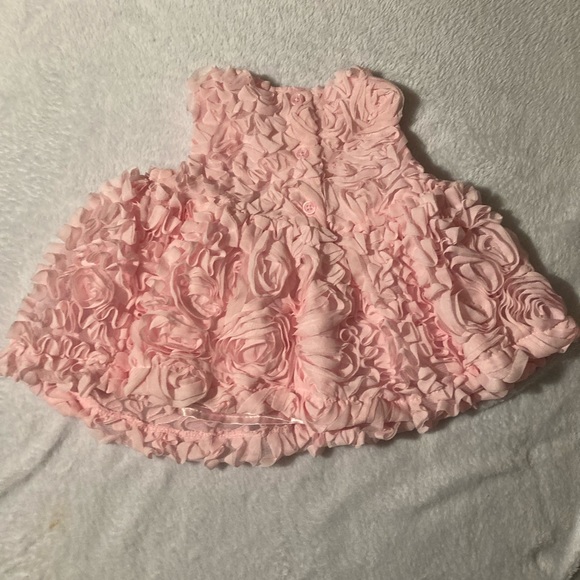 Baby Cat & Jack 3-6 months Beautiful Pink Rose Petal Dress - Picture 3 of 5